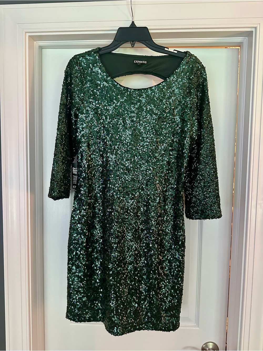 Express Emerald Green Sequin Mini Dress